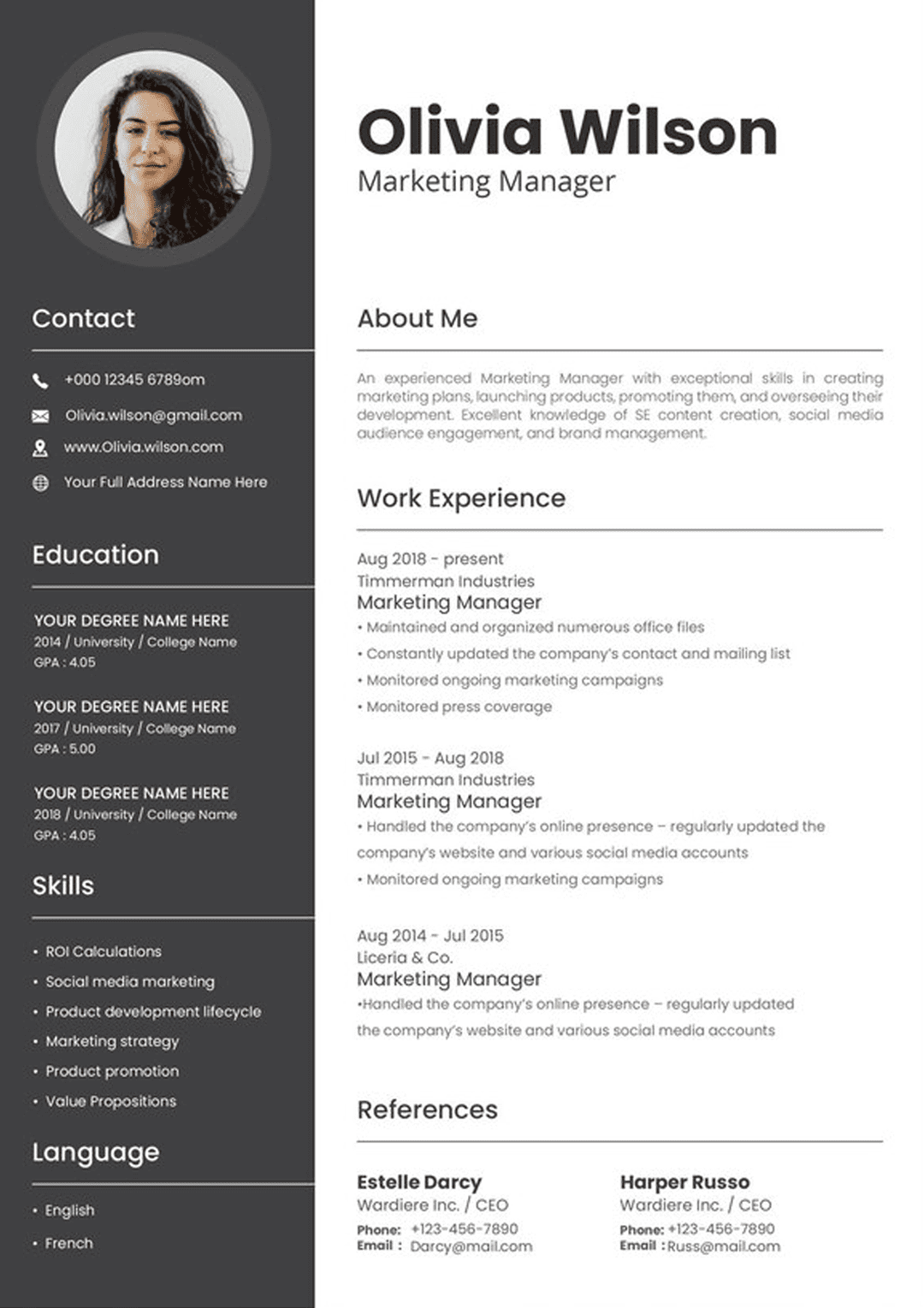 CV Modelo 1